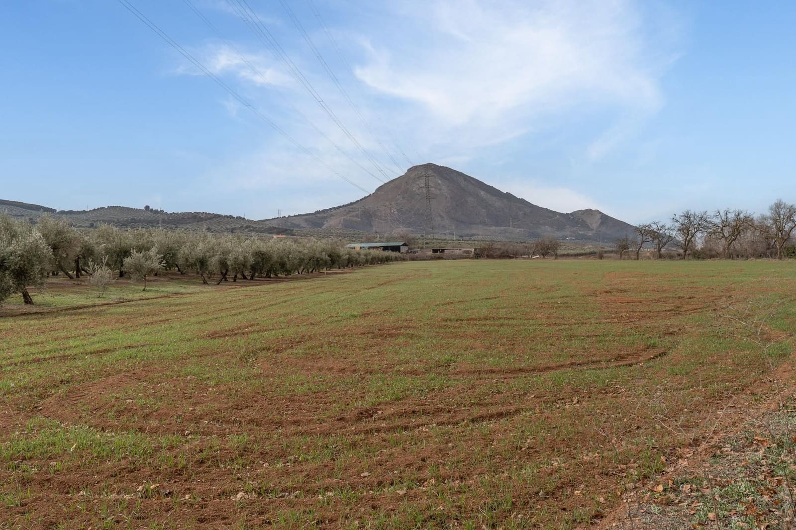 Finca/Landehus til salg i Albolote - € 59.900 (Ref: 9534217)