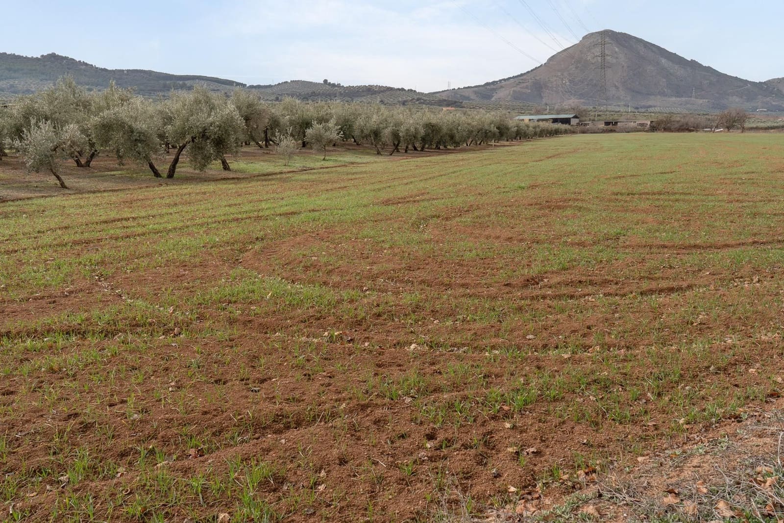 Finca/Landehus til salg i Albolote - € 59.900 (Ref: 9534217)