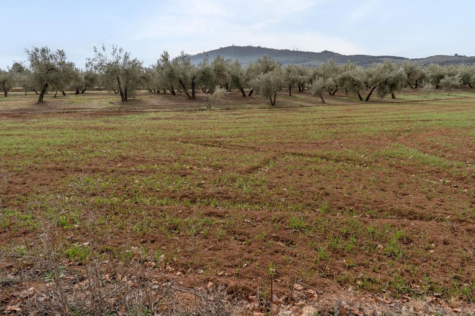 Finca/Landehus til salg i Albolote - € 59.900 (Ref: 9534217)