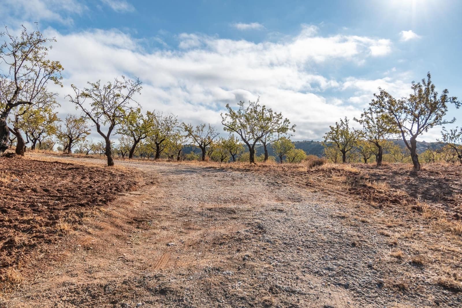 Finca/Casa Rural de 6 habitaciones en La Peza en venta con piscina garaje - 270.000 € (Ref: 9534218)