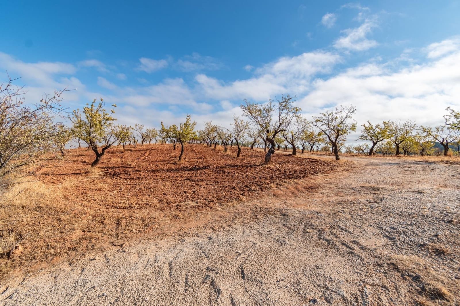 Finca/Casa Rural de 6 habitaciones en La Peza en venta con piscina garaje - 270.000 € (Ref: 9534218)