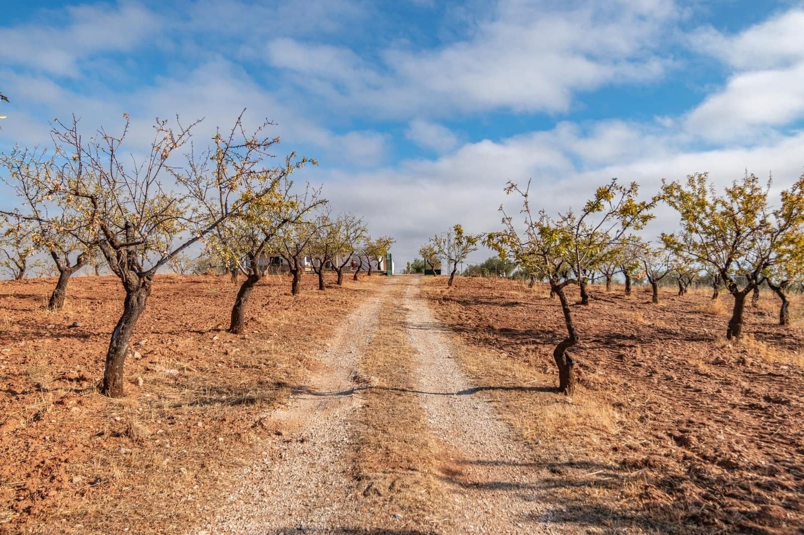 Finca/Casa Rural de 6 habitaciones en La Peza en venta con piscina garaje - 270.000 € (Ref: 9534218)