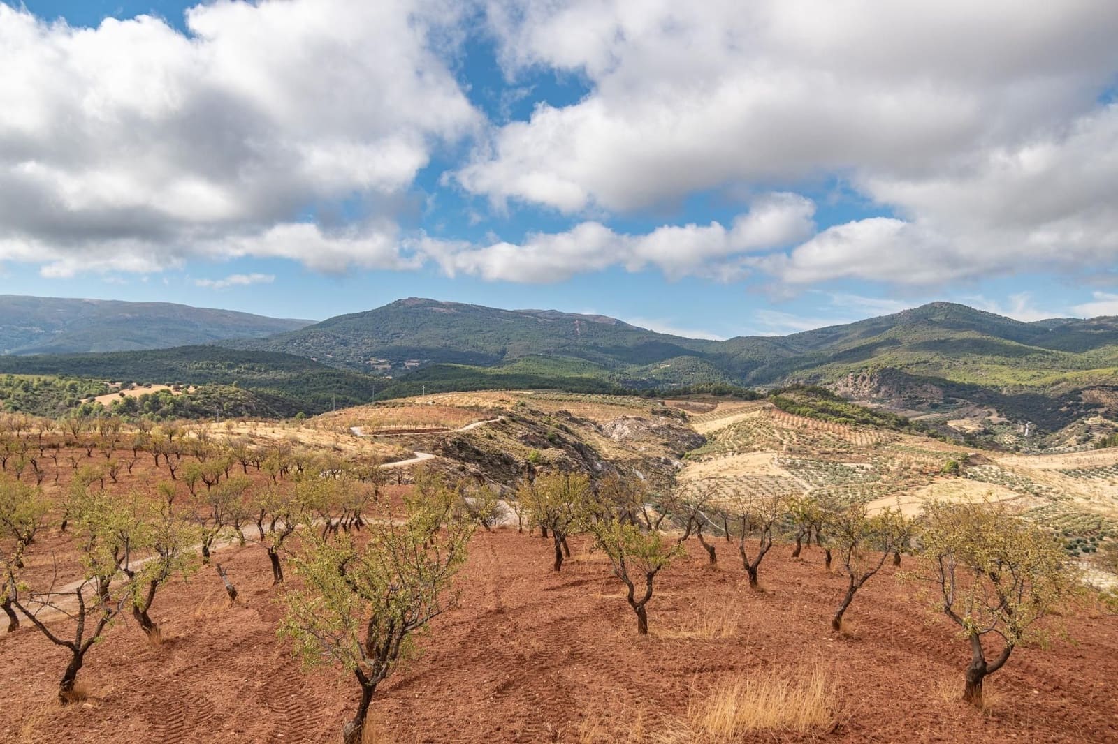 Finca/Casa Rural de 6 habitaciones en La Peza en venta con piscina garaje - 270.000 € (Ref: 9534218)
