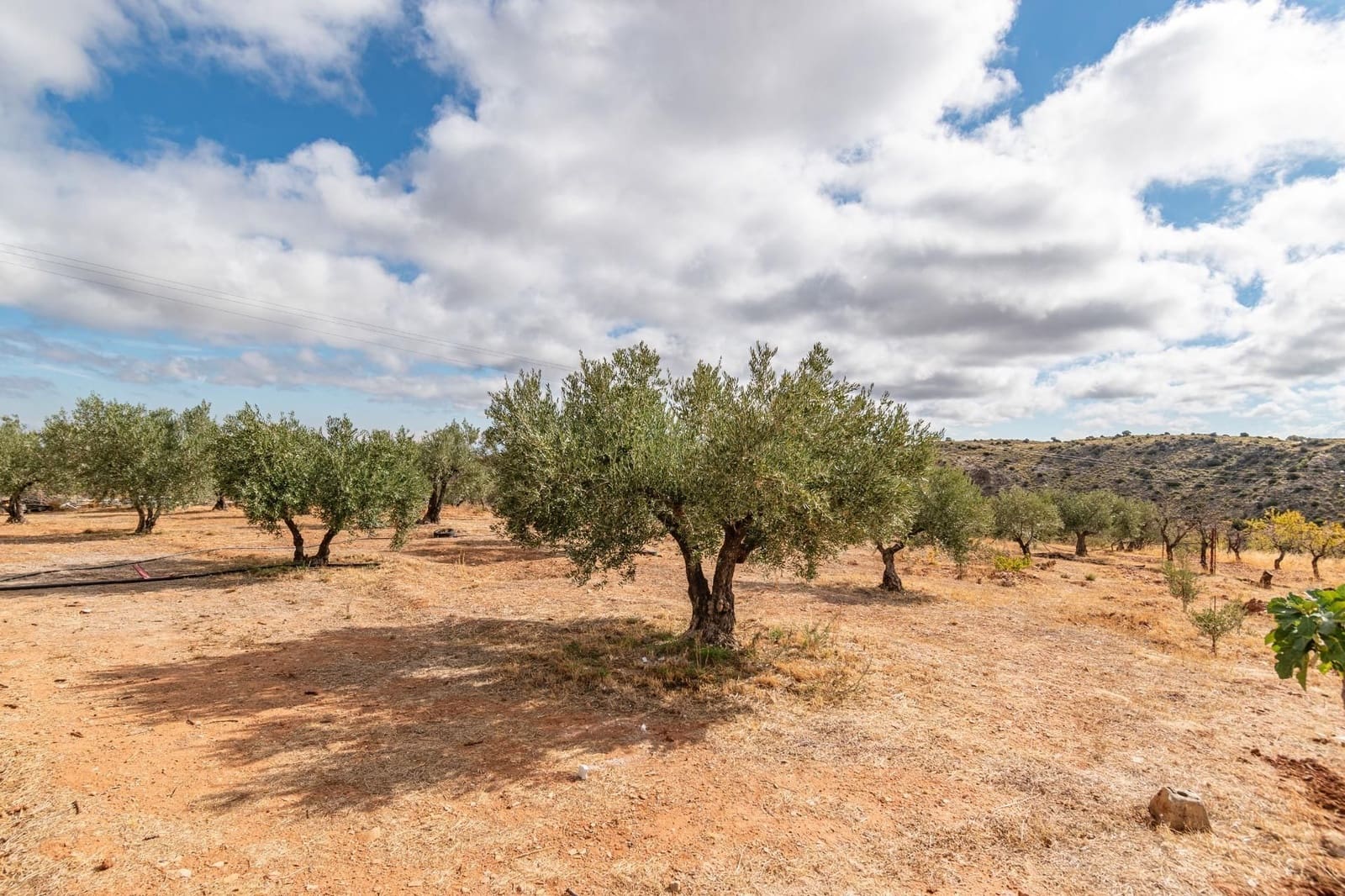 Finca/Casa Rural de 6 habitaciones en La Peza en venta con piscina garaje - 270.000 € (Ref: 9534218)