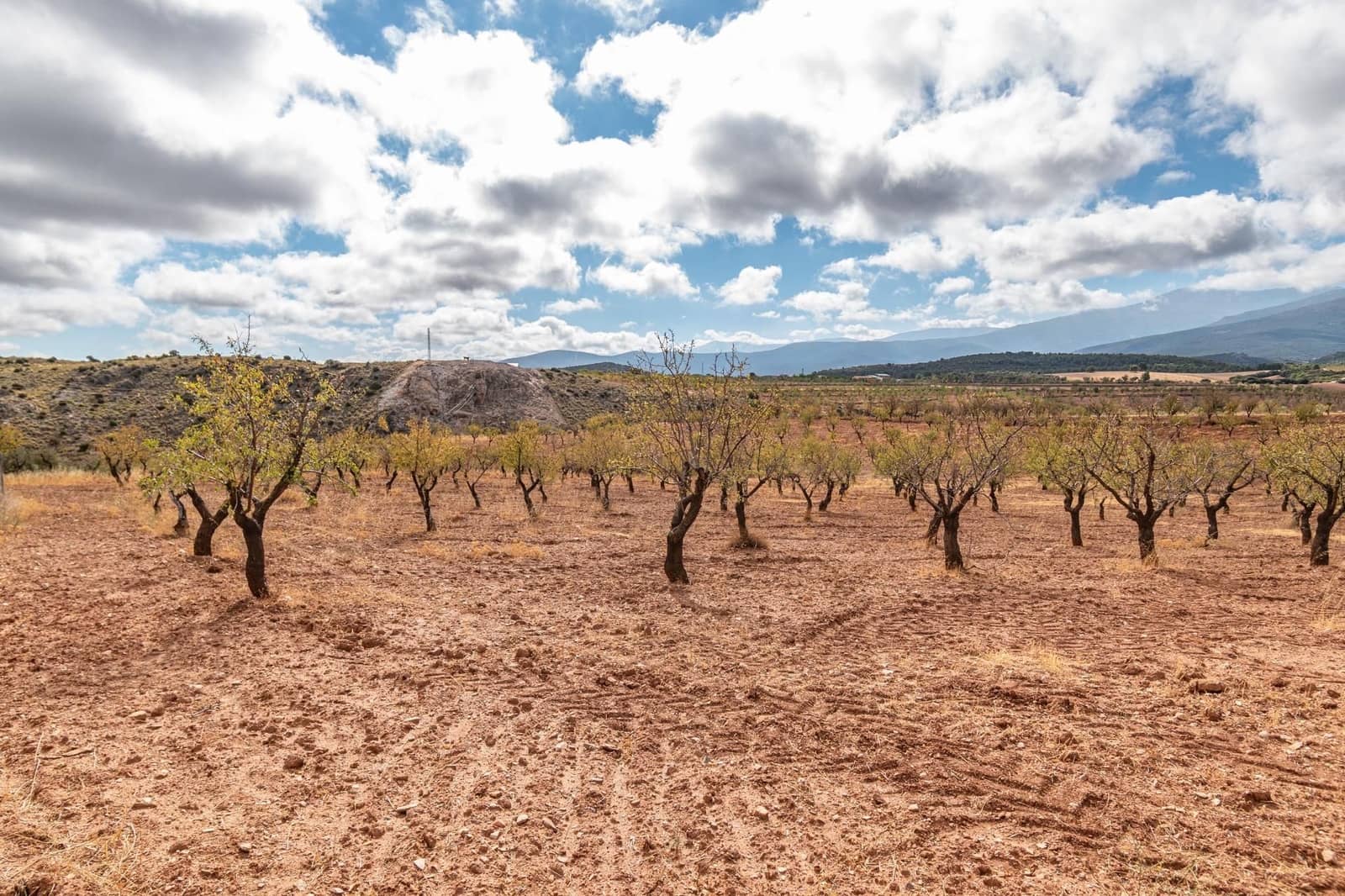 Finca/Casa Rural de 6 habitaciones en La Peza en venta con piscina garaje - 270.000 € (Ref: 9534218)
