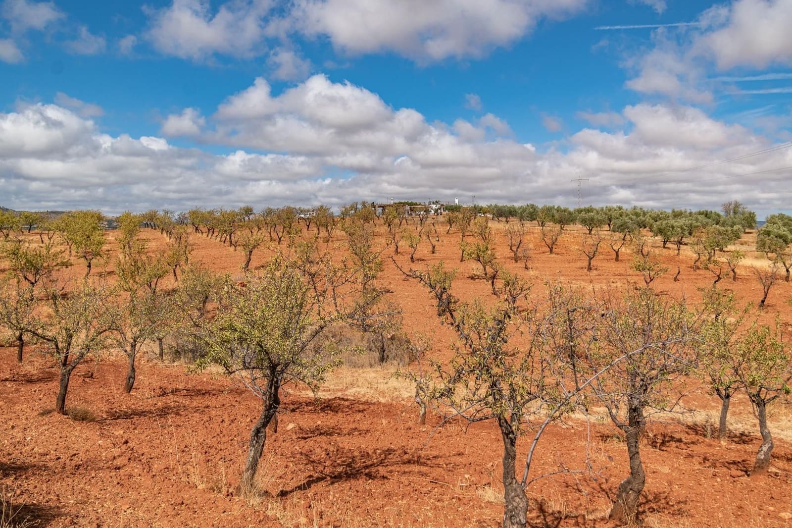 Finca/Casa Rural de 6 habitaciones en La Peza en venta con piscina garaje - 270.000 € (Ref: 9534218)