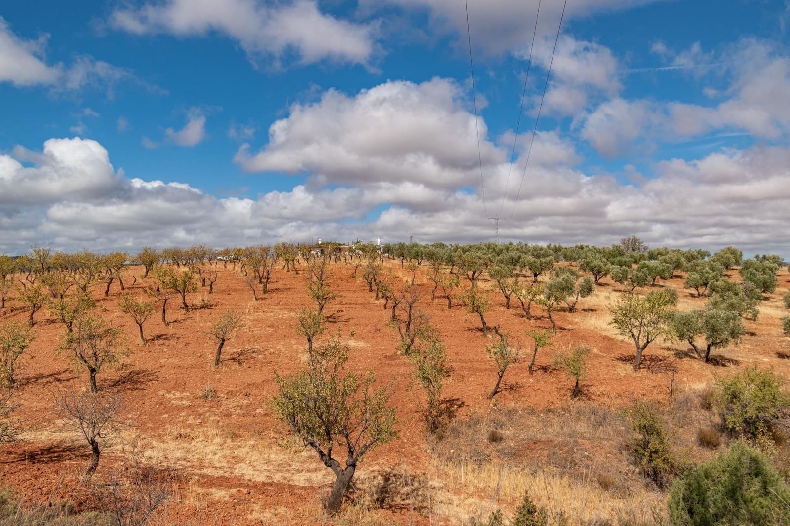 Finca/Casa Rural de 6 habitaciones en La Peza en venta con piscina garaje - 270.000 € (Ref: 9534218)