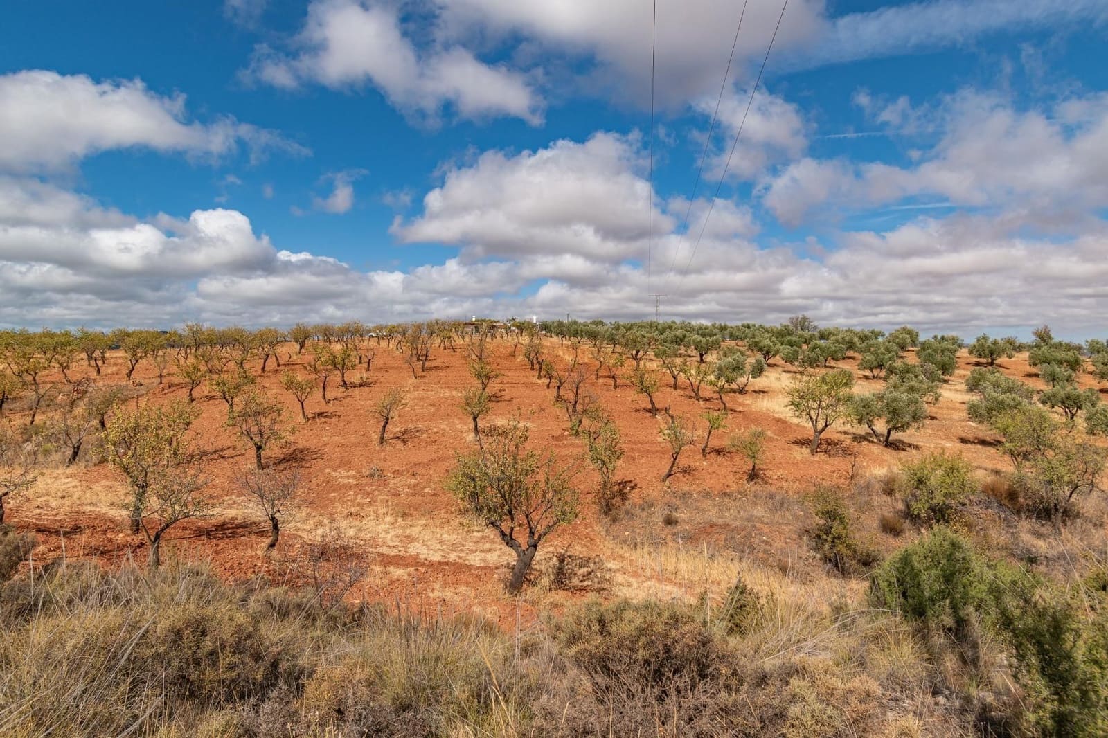 Finca/Casa Rural de 6 habitaciones en La Peza en venta con piscina garaje - 270.000 € (Ref: 9534218)