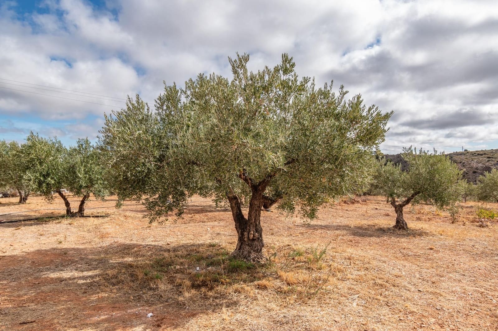 Finca/Casa Rural de 6 habitaciones en La Peza en venta con piscina garaje - 270.000 € (Ref: 9534218)
