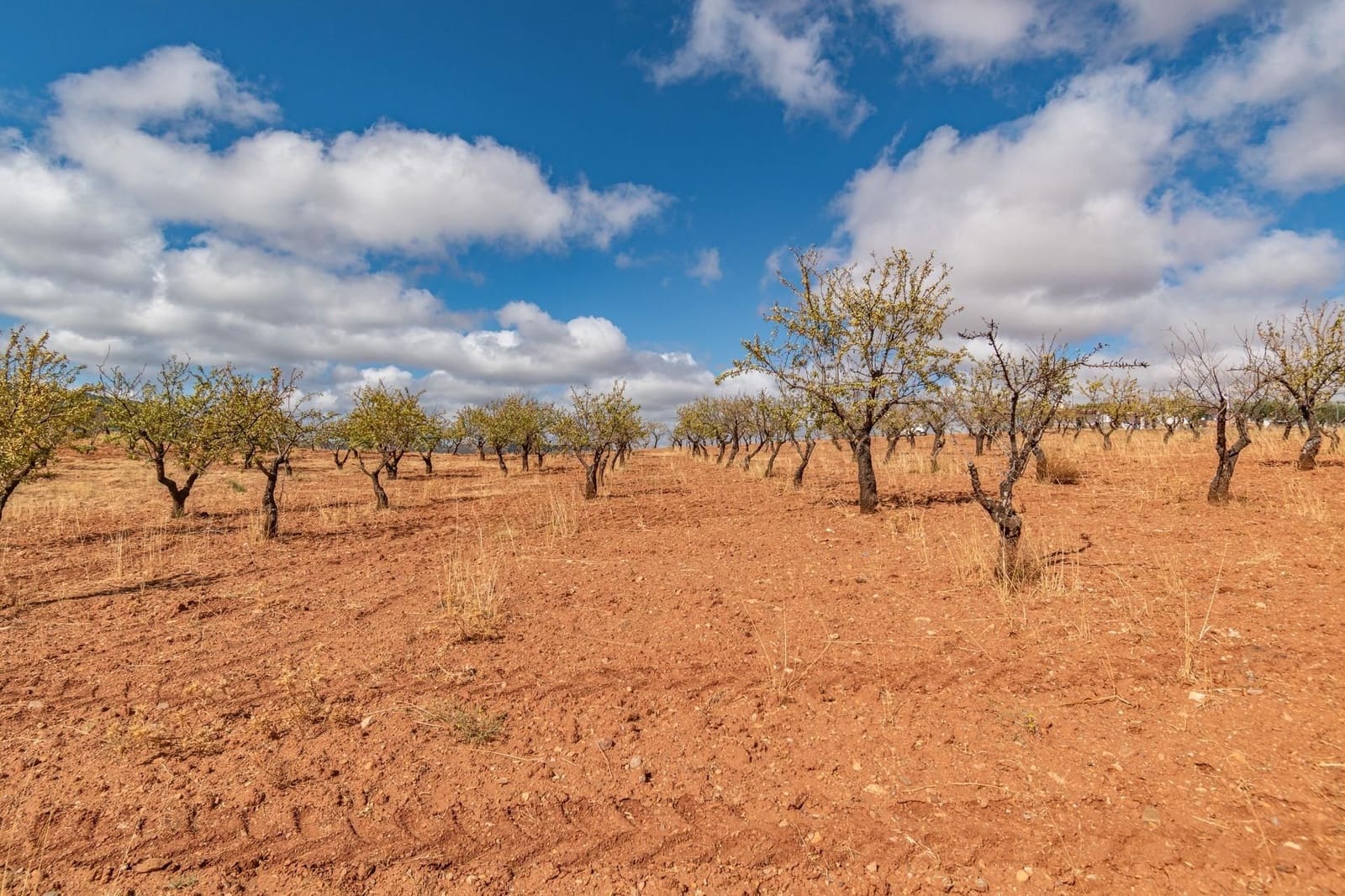 Finca/Casa Rural de 6 habitaciones en La Peza en venta con piscina garaje - 270.000 € (Ref: 9534218)