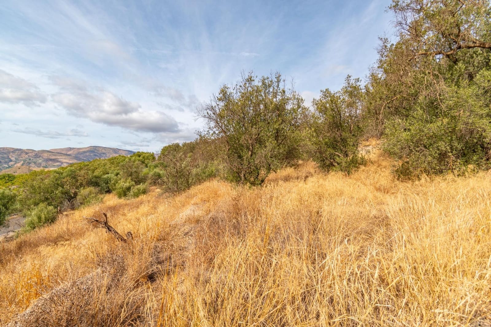 Finca/Country House for sale in Orgiva - € 59,900 (Ref: 9534220)