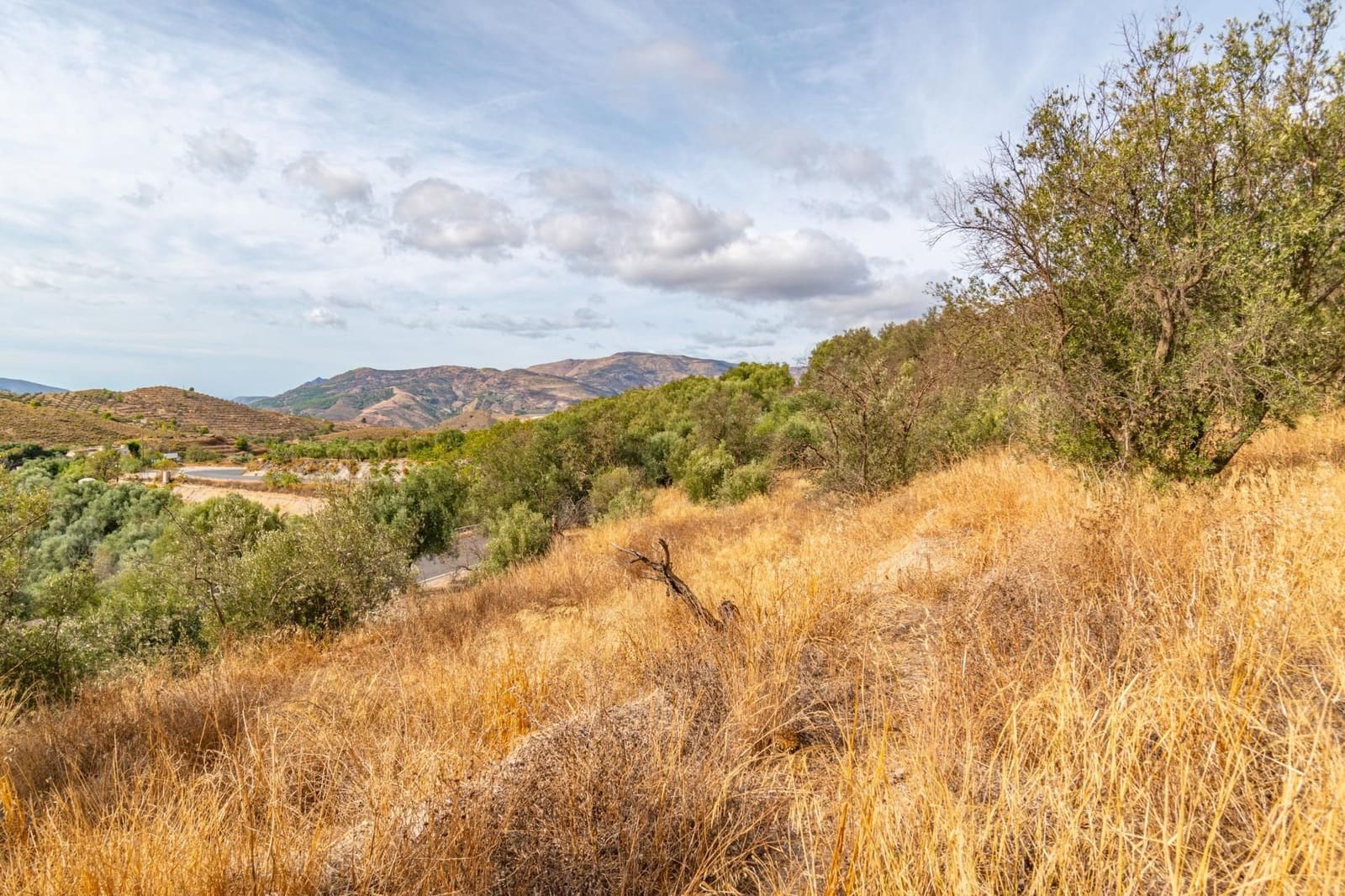 Finca/Country House for sale in Orgiva - € 59,900 (Ref: 9534220)