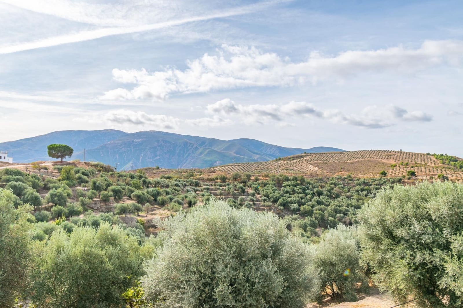 Finca/Country House for sale in Orgiva - € 59,900 (Ref: 9534220)