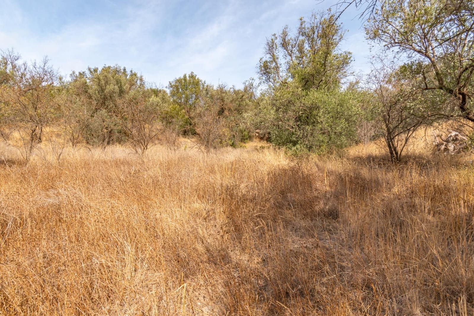 Finca/Country House for sale in Orgiva - € 59,900 (Ref: 9534220)