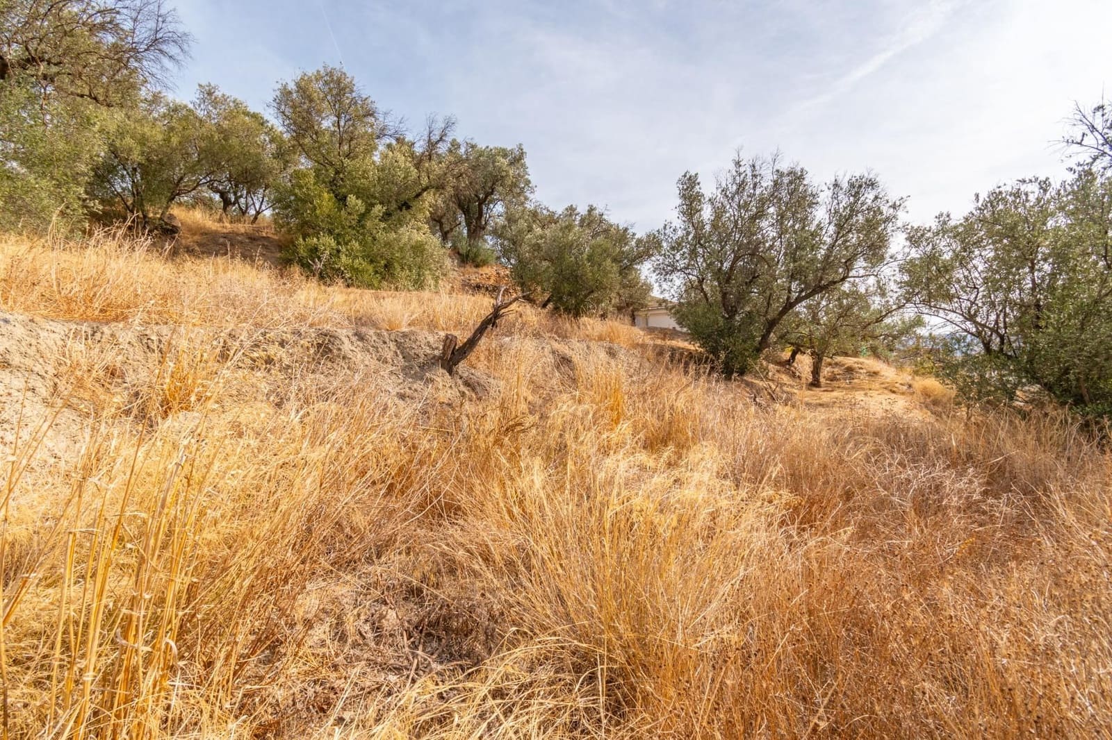 Finca/Country House for sale in Orgiva - € 59,900 (Ref: 9534220)