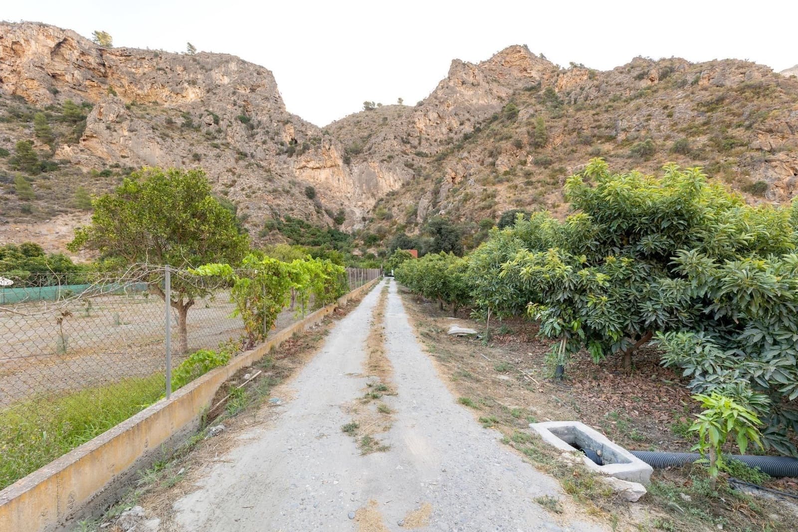 Finca/Herregård til salgs i Velez de Benaudalla - € 260 000 (Ref: 9534231)