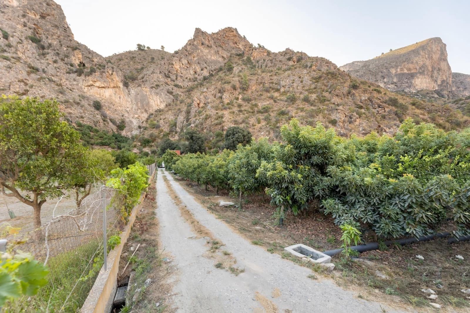 Finca/Herregård til salgs i Velez de Benaudalla - € 260 000 (Ref: 9534231)