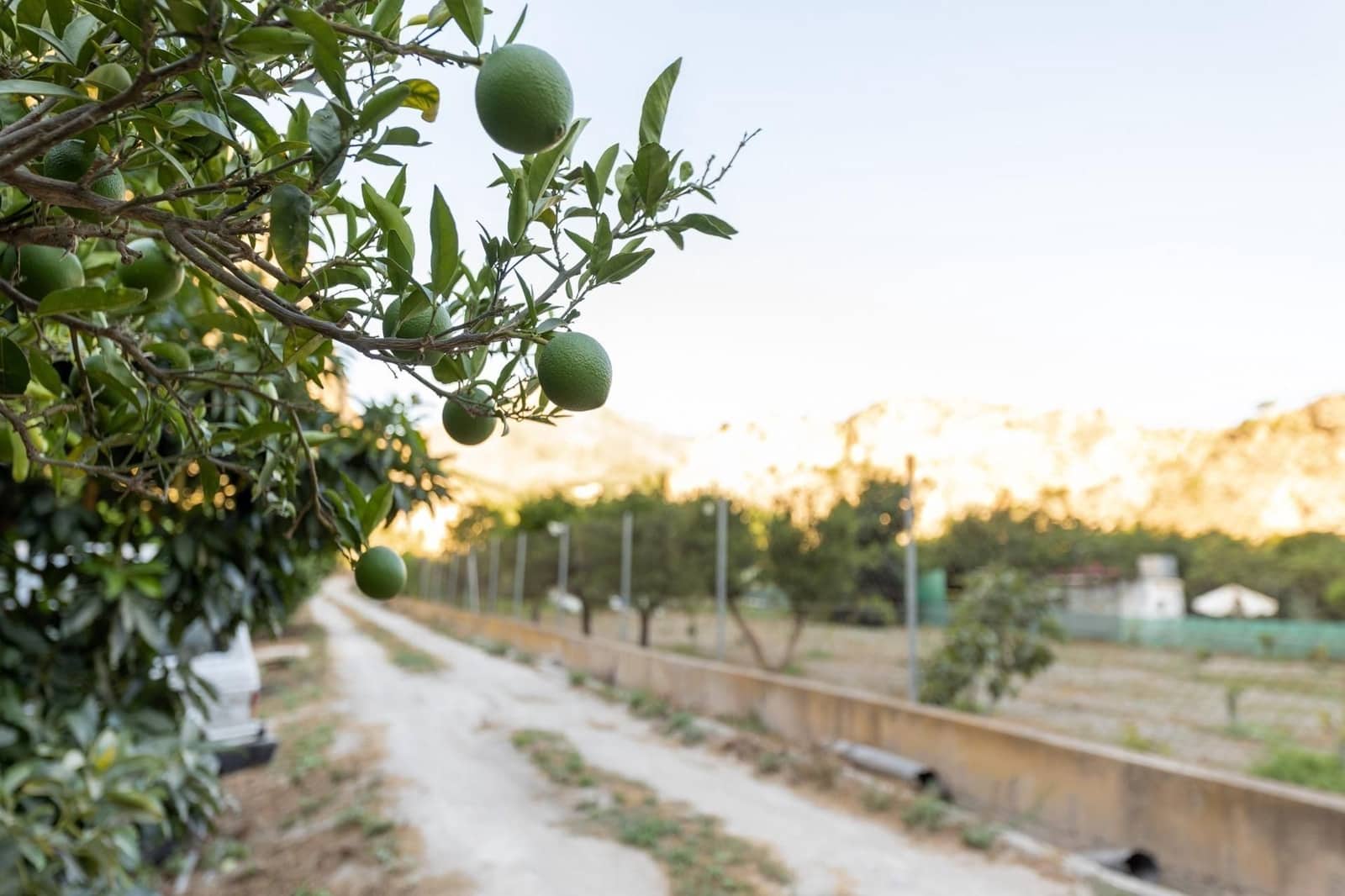 Finca/Herregård til salgs i Velez de Benaudalla - € 260 000 (Ref: 9534231)