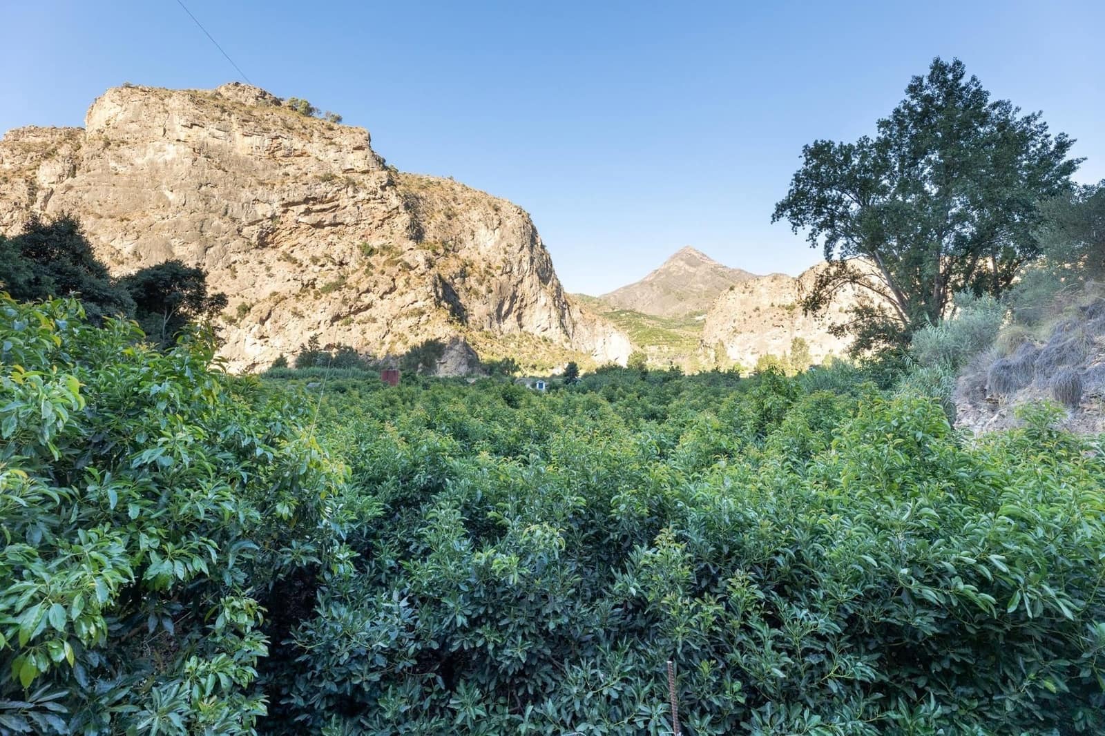 Finca/Herregård til salgs i Velez de Benaudalla - € 260 000 (Ref: 9534231)