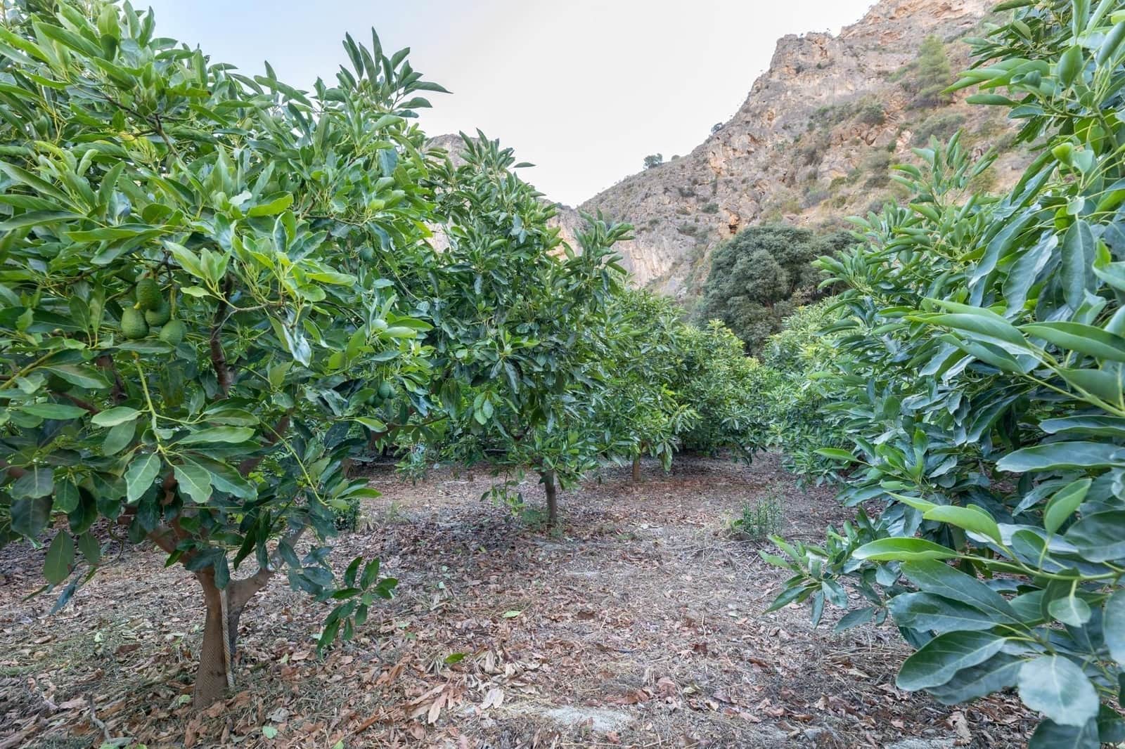 Finca/Herregård til salgs i Velez de Benaudalla - € 260 000 (Ref: 9534231)