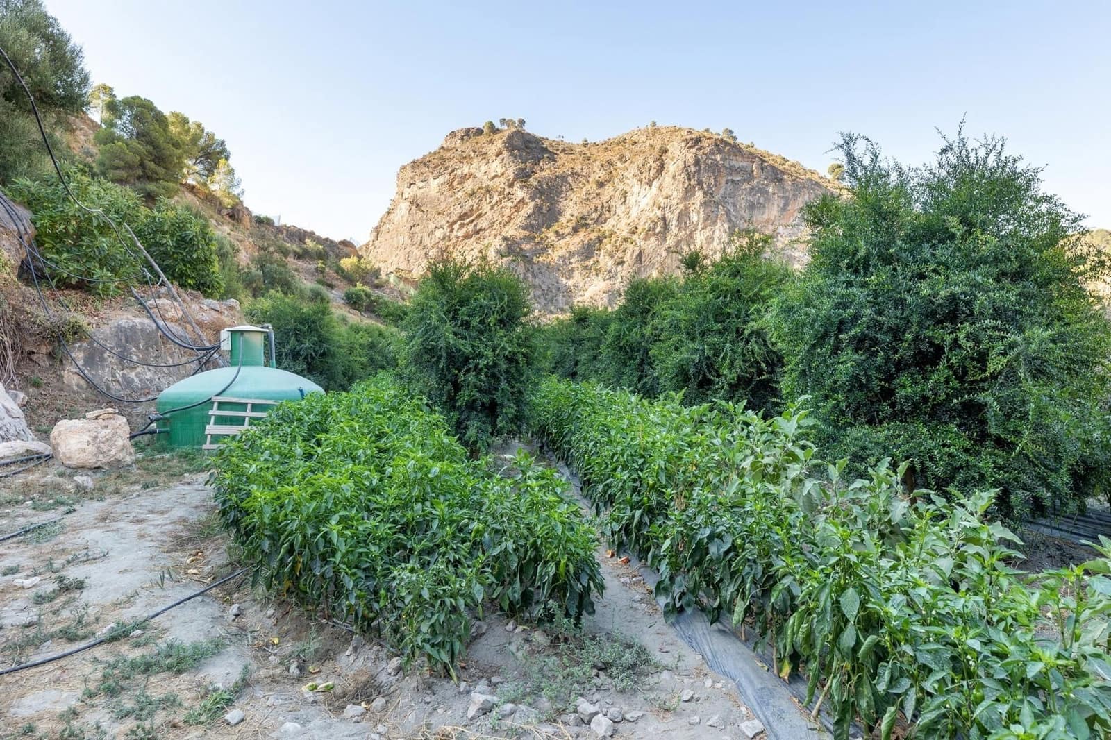 Finca/Herregård til salgs i Velez de Benaudalla - € 250 000 (Ref: 9534243)