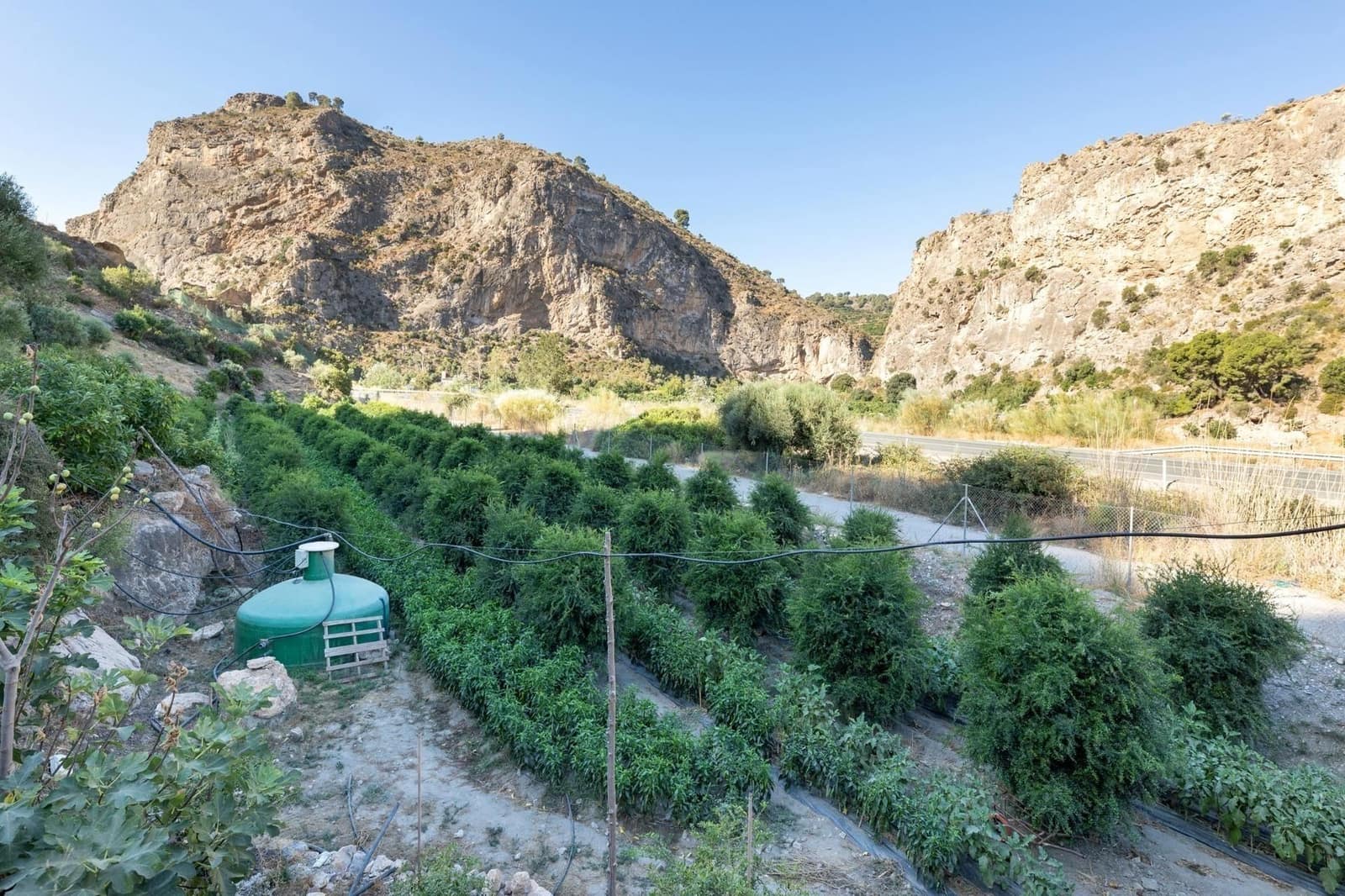 Finca/Herregård til salgs i Velez de Benaudalla - € 250 000 (Ref: 9534243)