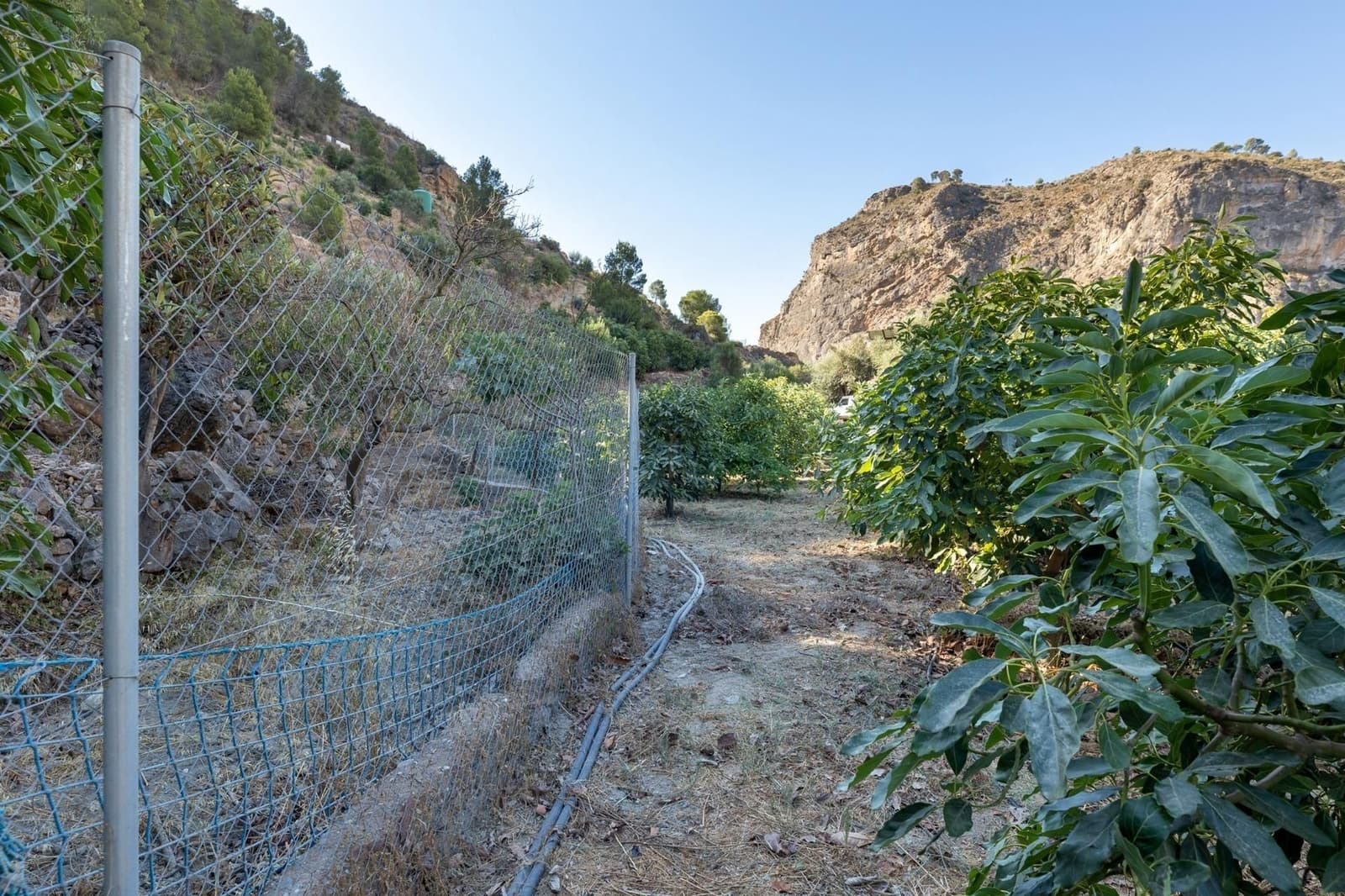 Finca/Herregård til salgs i Velez de Benaudalla - € 250 000 (Ref: 9534243)