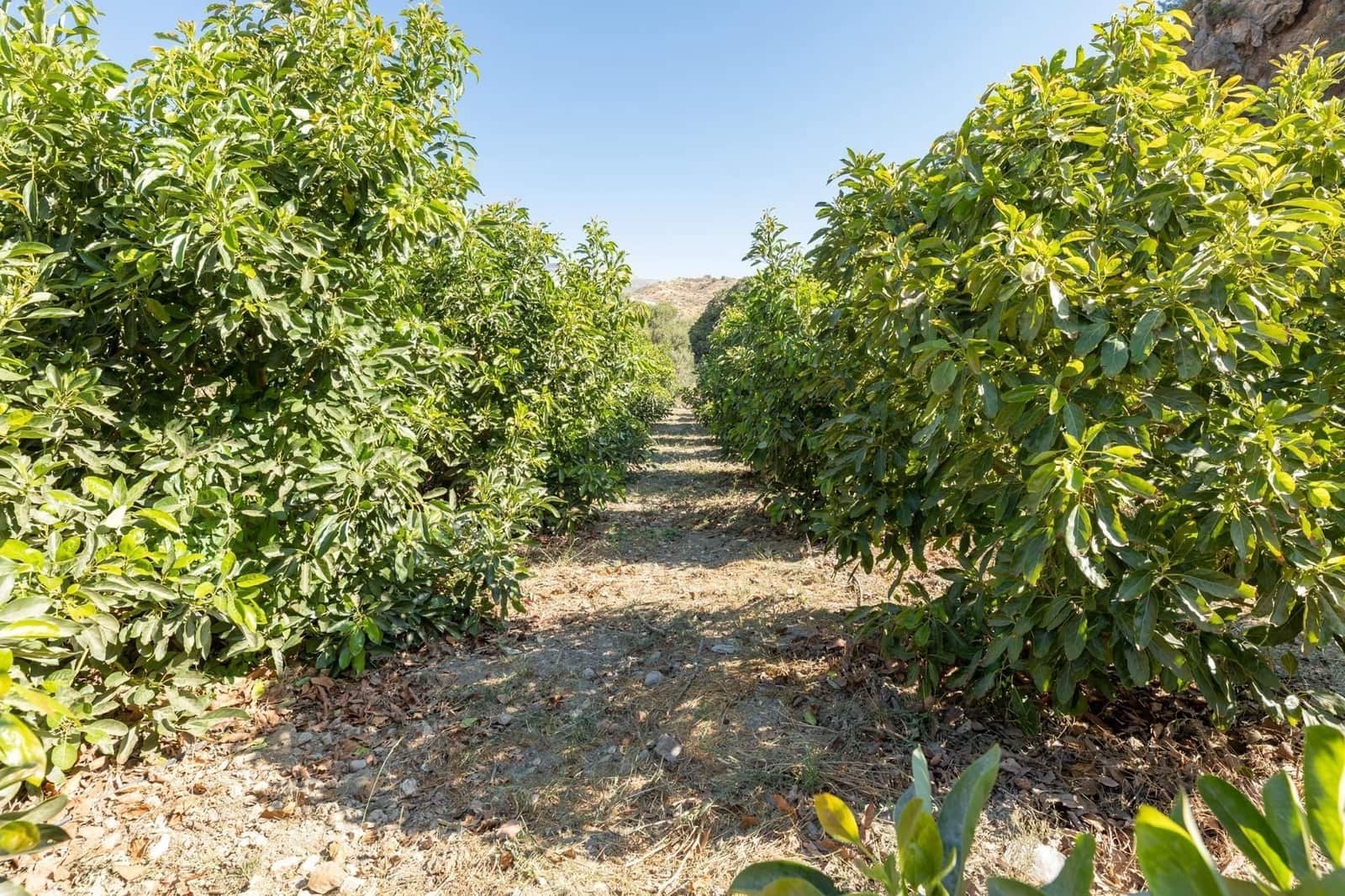 Finca/Herregård til salgs i Velez de Benaudalla - € 250 000 (Ref: 9534243)