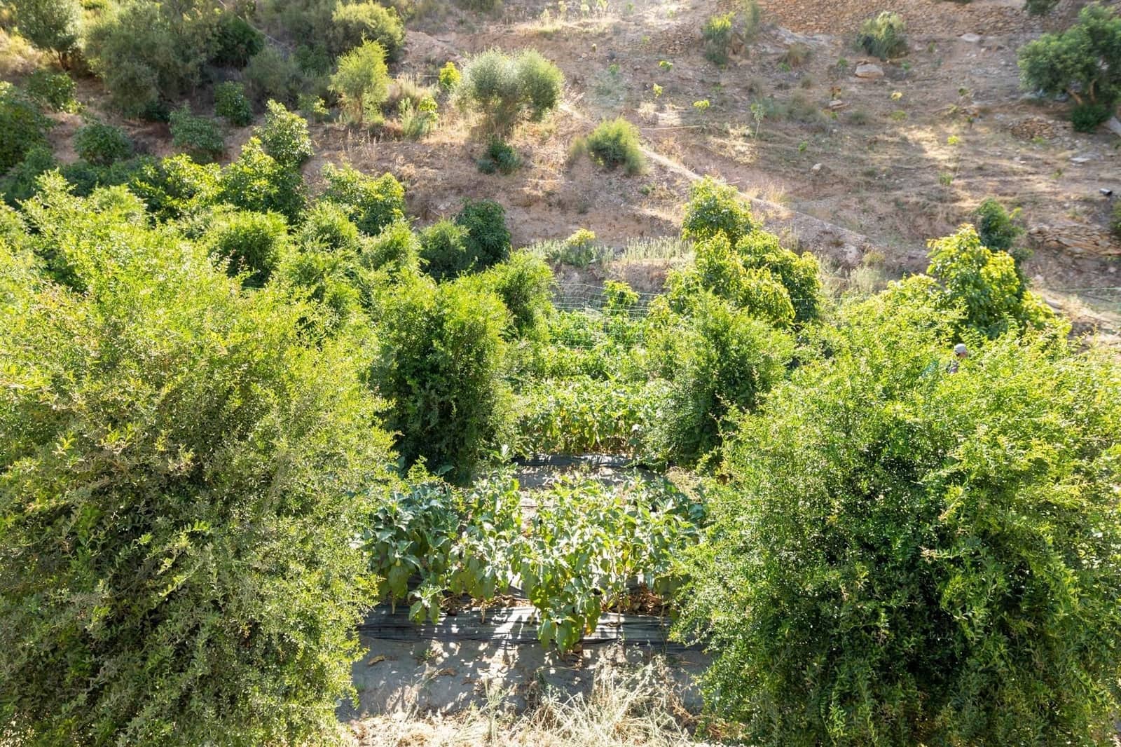 Finca/Herregård til salgs i Velez de Benaudalla - € 250 000 (Ref: 9534243)