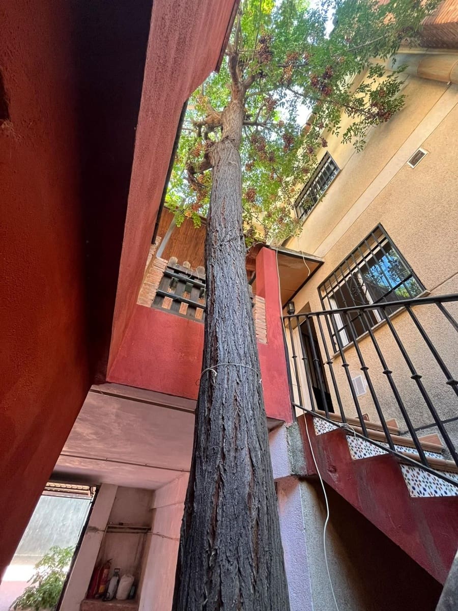 4 soveværelse Byhus til salg i Vegas del Genil med garage - € 225.000 (Ref: 9534256)