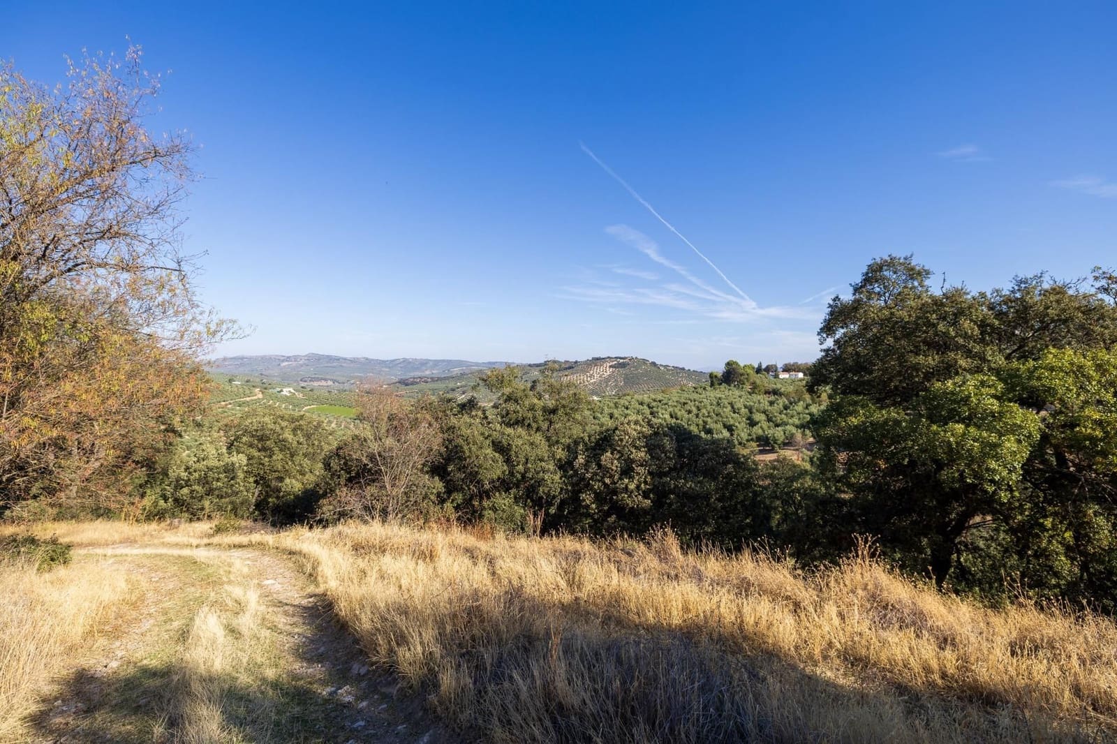 Ruína para venda em Montefrio - 65 000 € (Ref: 9534260)