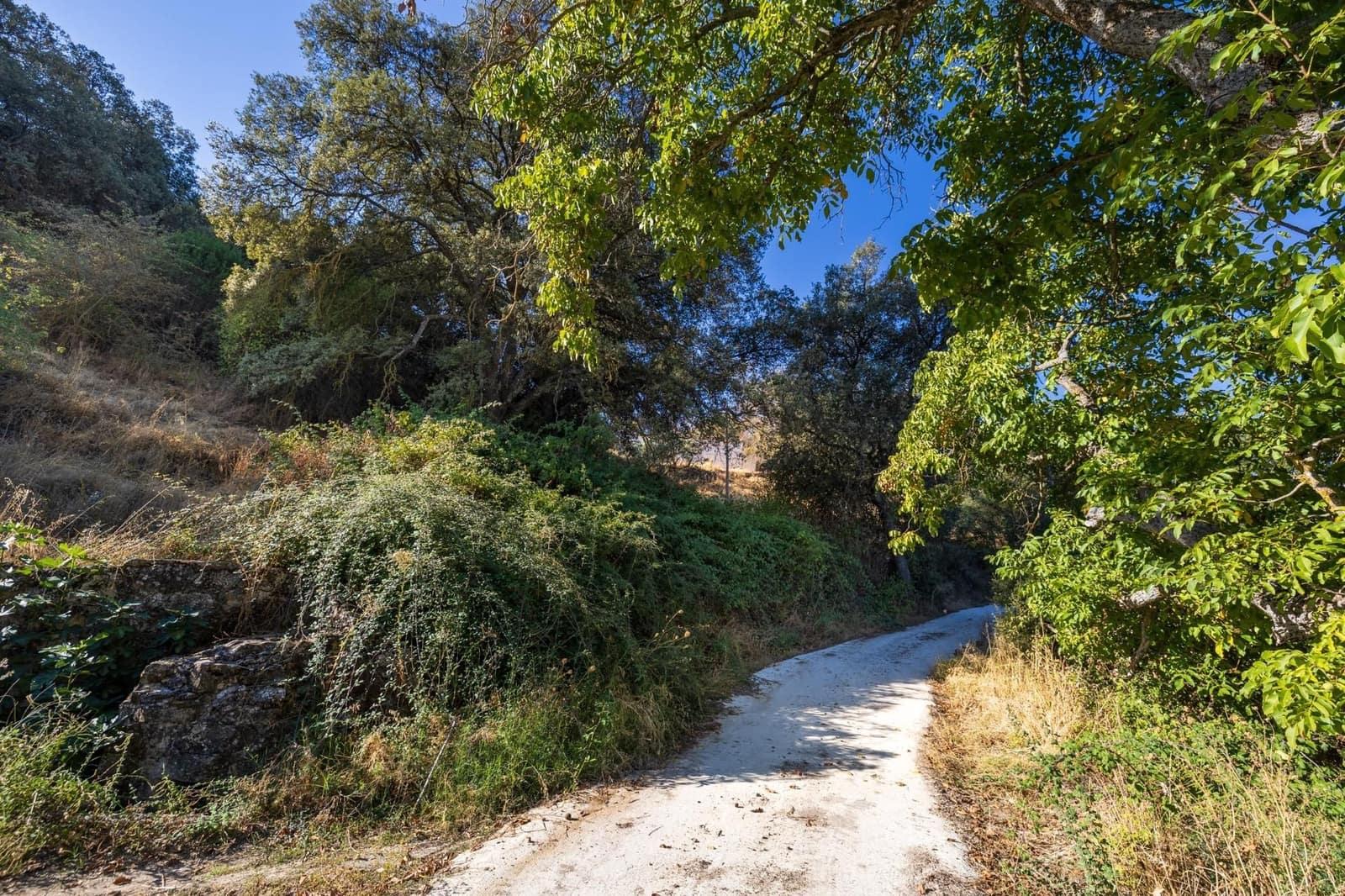 Ruína para venda em Montefrio - 65 000 € (Ref: 9534260)