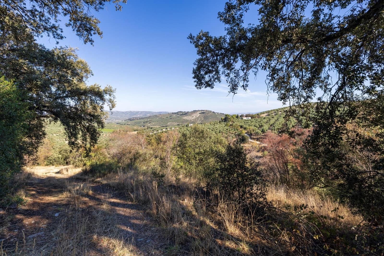 Ruína para venda em Montefrio - 65 000 € (Ref: 9534260)