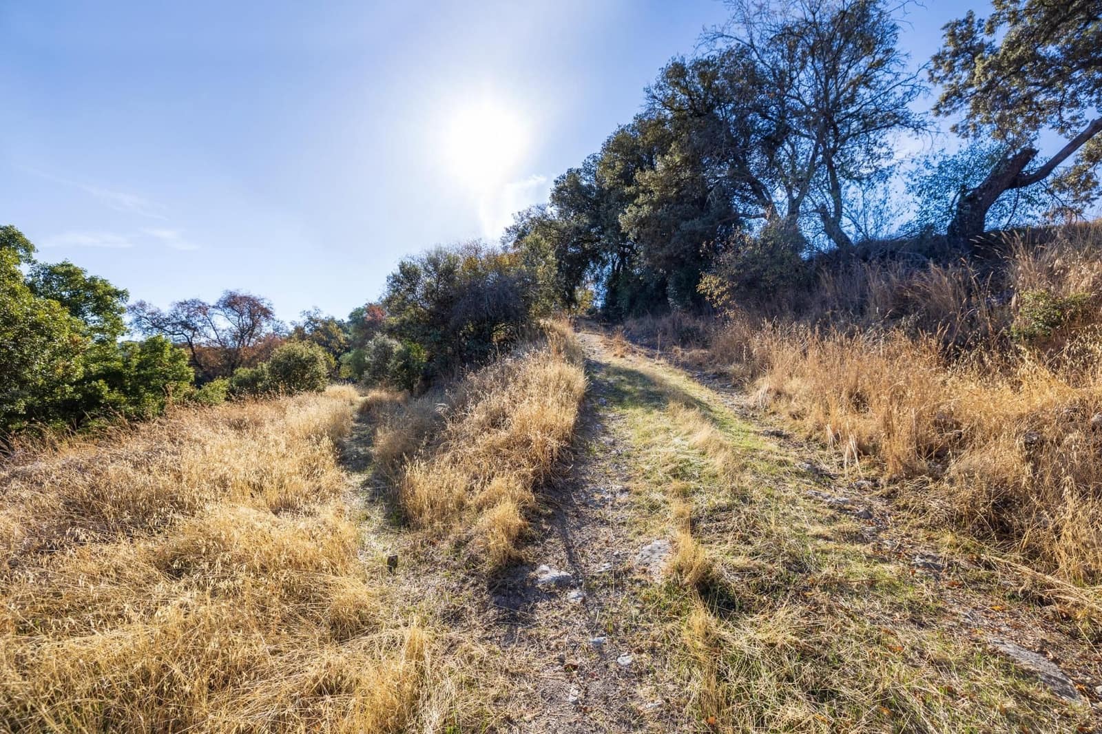 Ruína para venda em Montefrio - 65 000 € (Ref: 9534260)