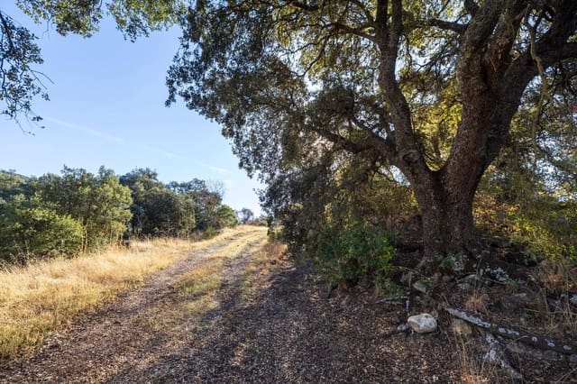 Ruína para venda em Montefrío - 65 000 € (Ref: 9534260)