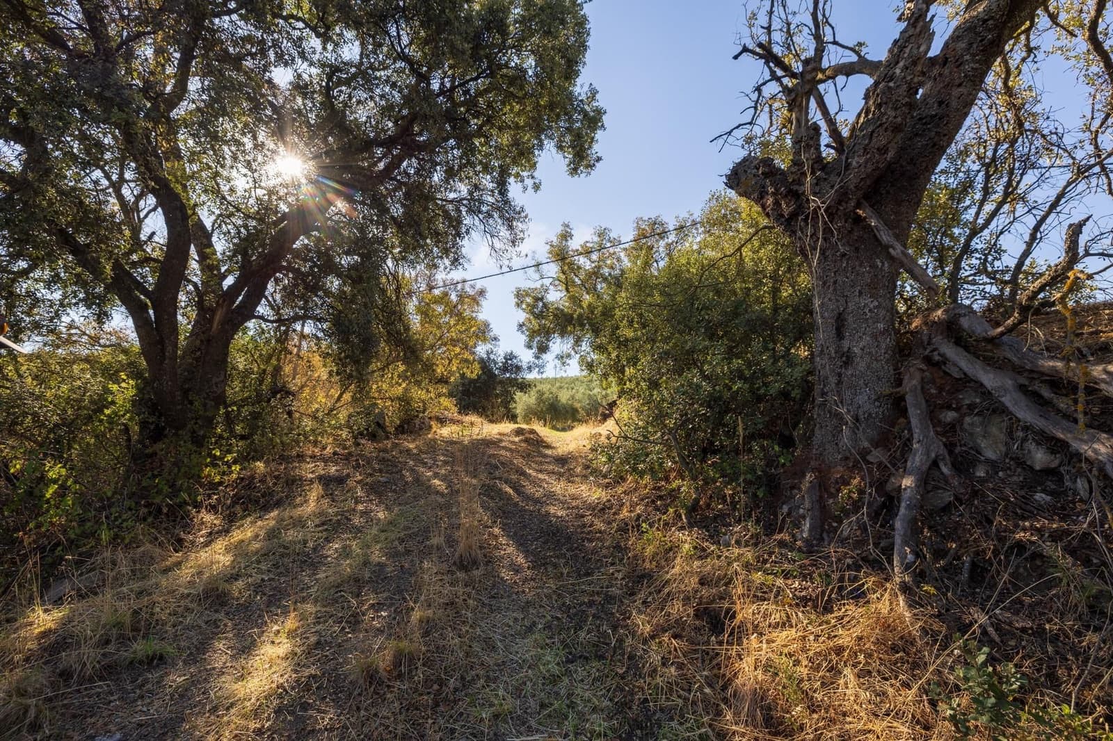 Ruína para venda em Montefrio - 65 000 € (Ref: 9534260)