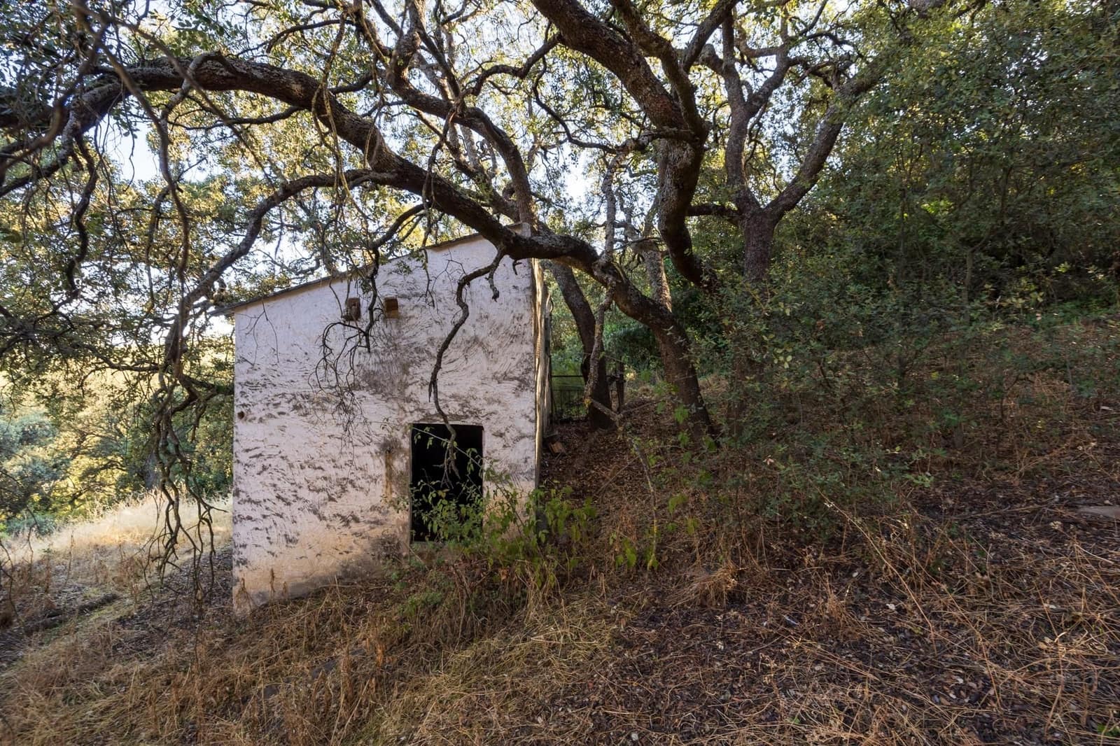 Ruína para venda em Montefrio - 65 000 € (Ref: 9534260)