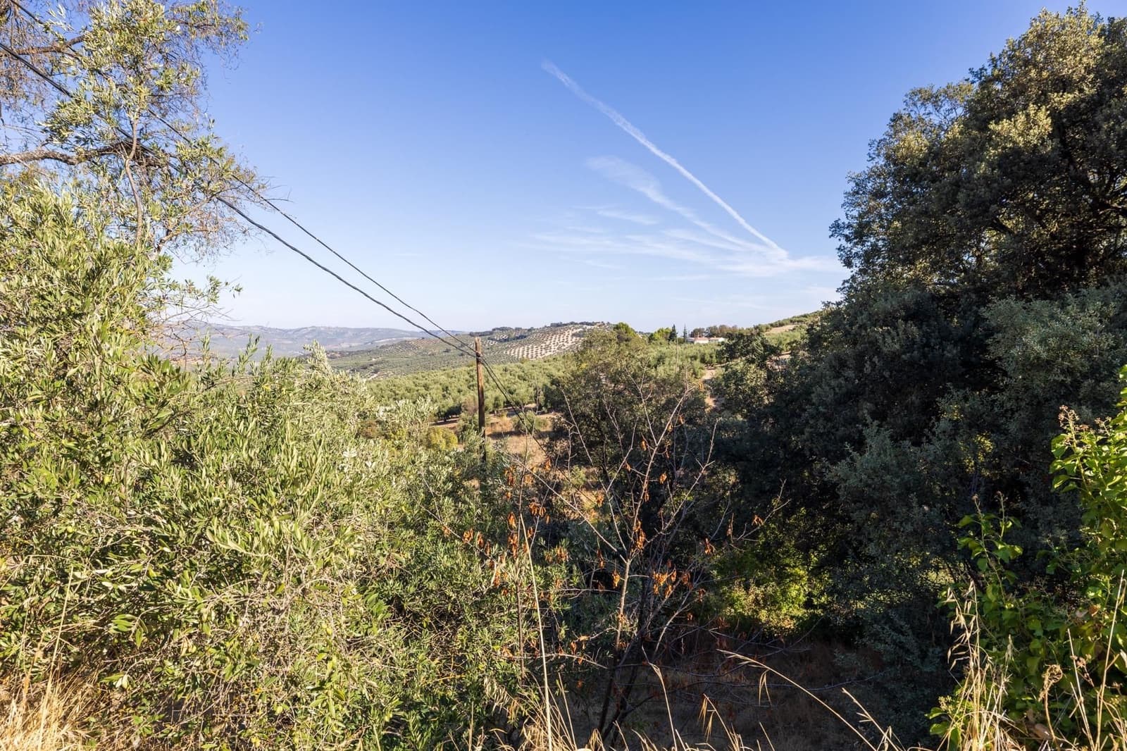 Ruína para venda em Montefrio - 65 000 € (Ref: 9534260)