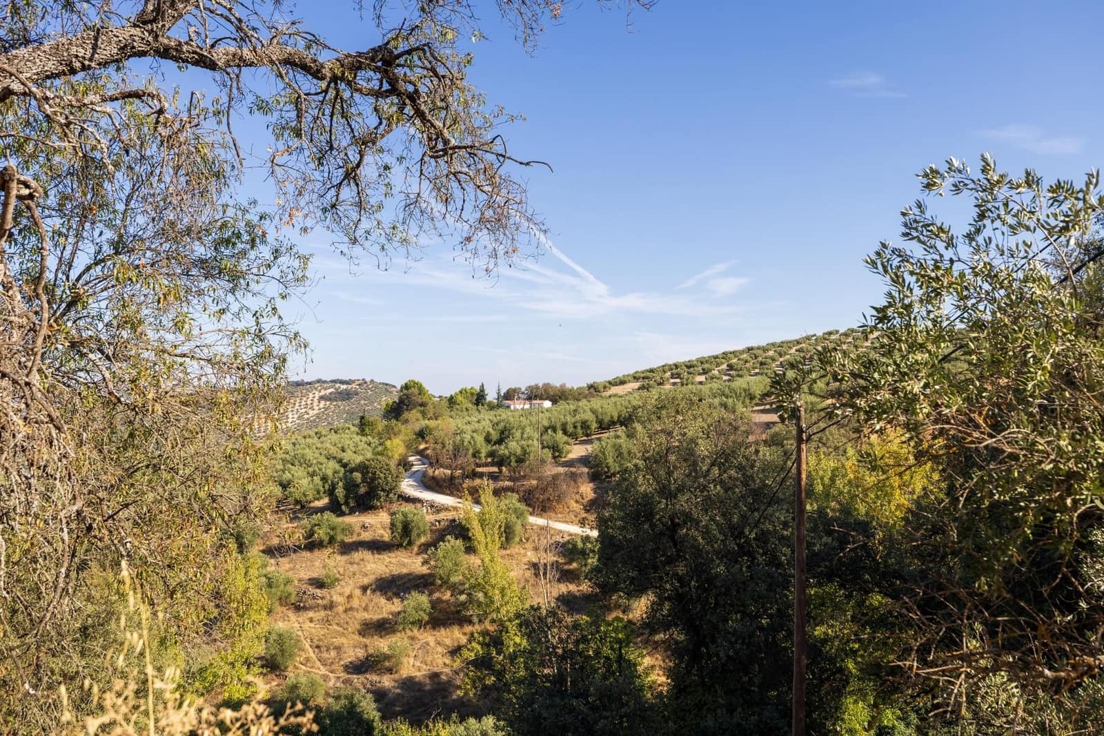 Ruína para venda em Montefrio - 65 000 € (Ref: 9534260)