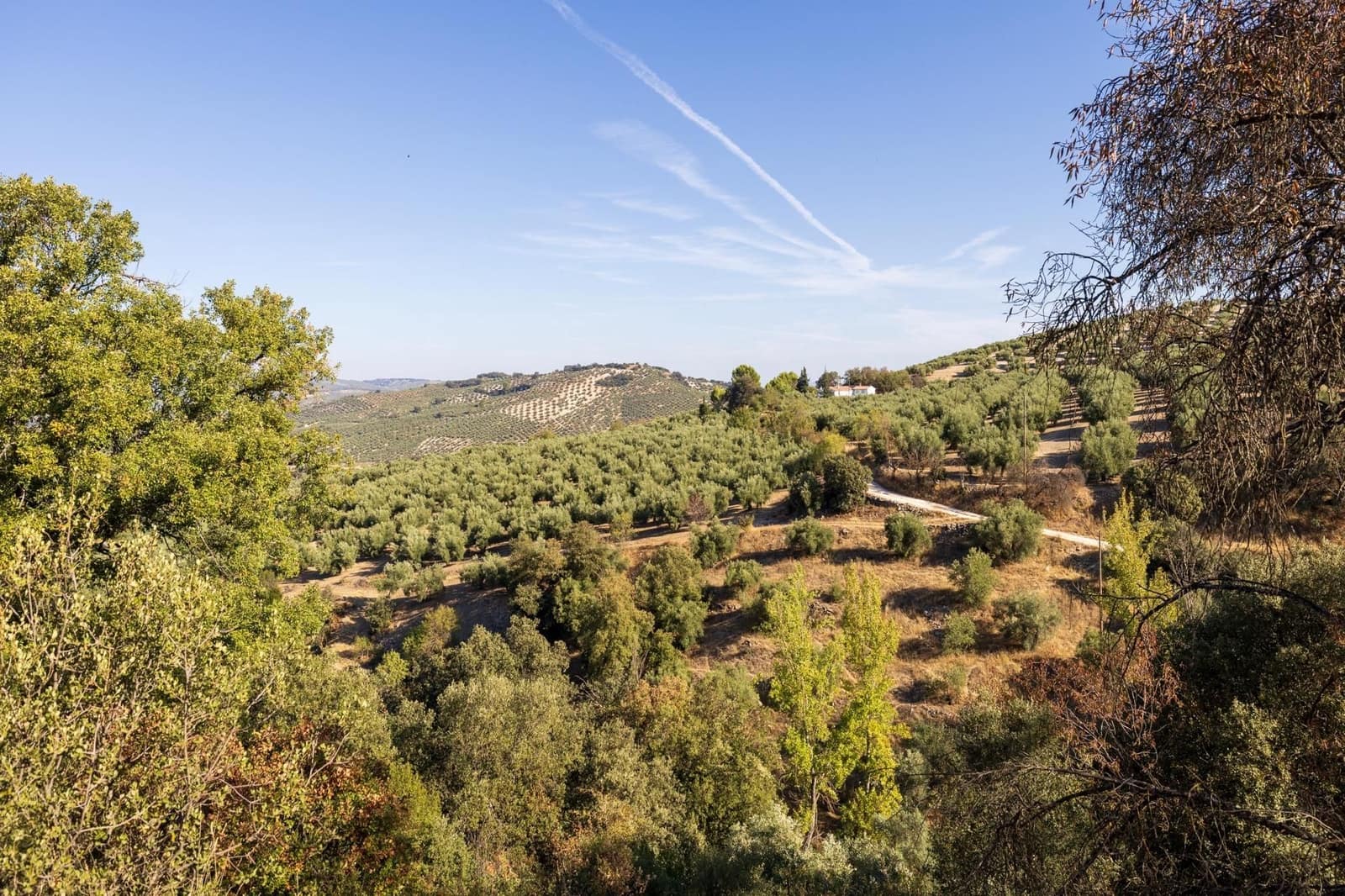 Ruína para venda em Montefrio - 65 000 € (Ref: 9534260)