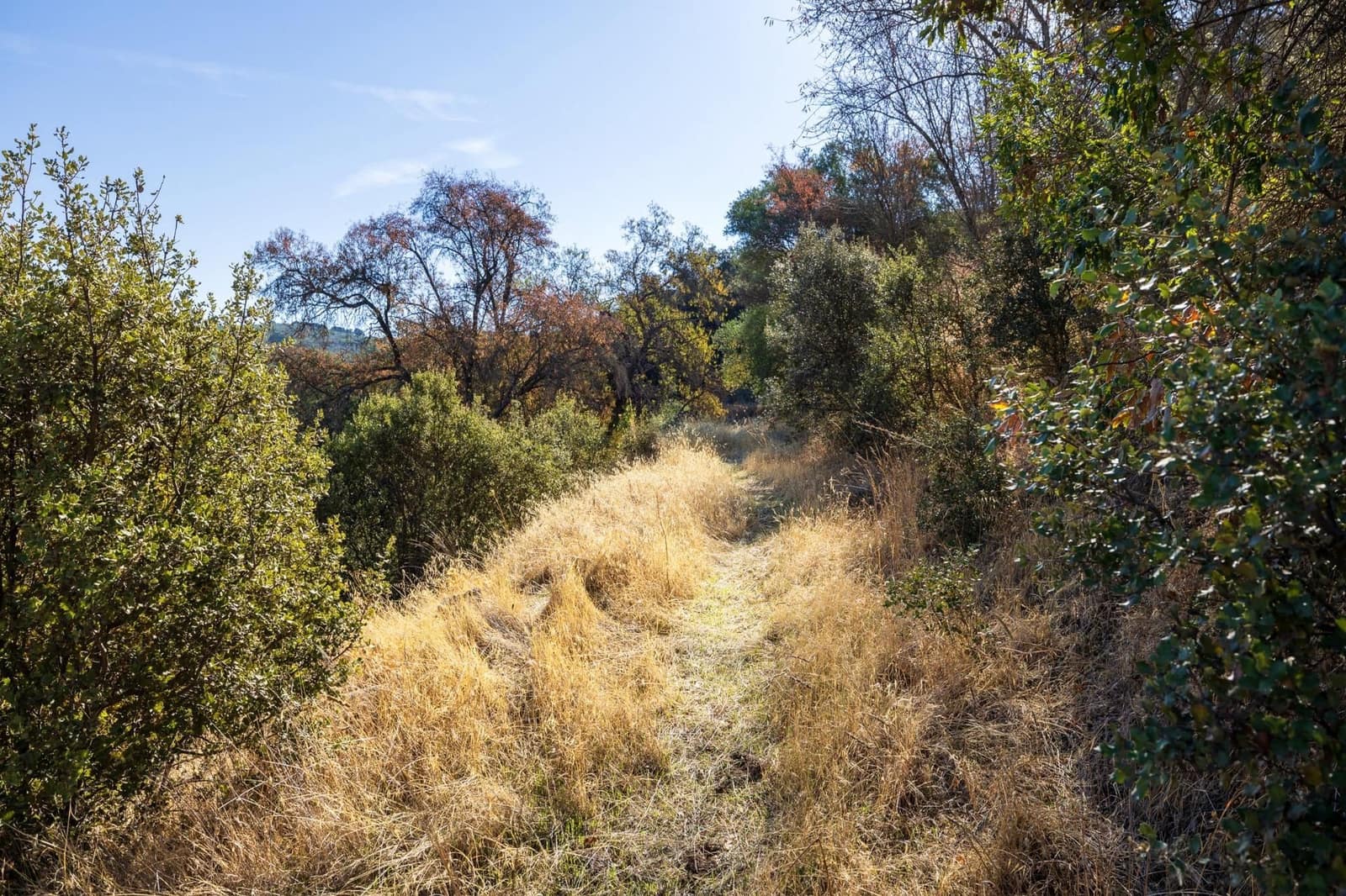 Ruína para venda em Montefrio - 65 000 € (Ref: 9534260)