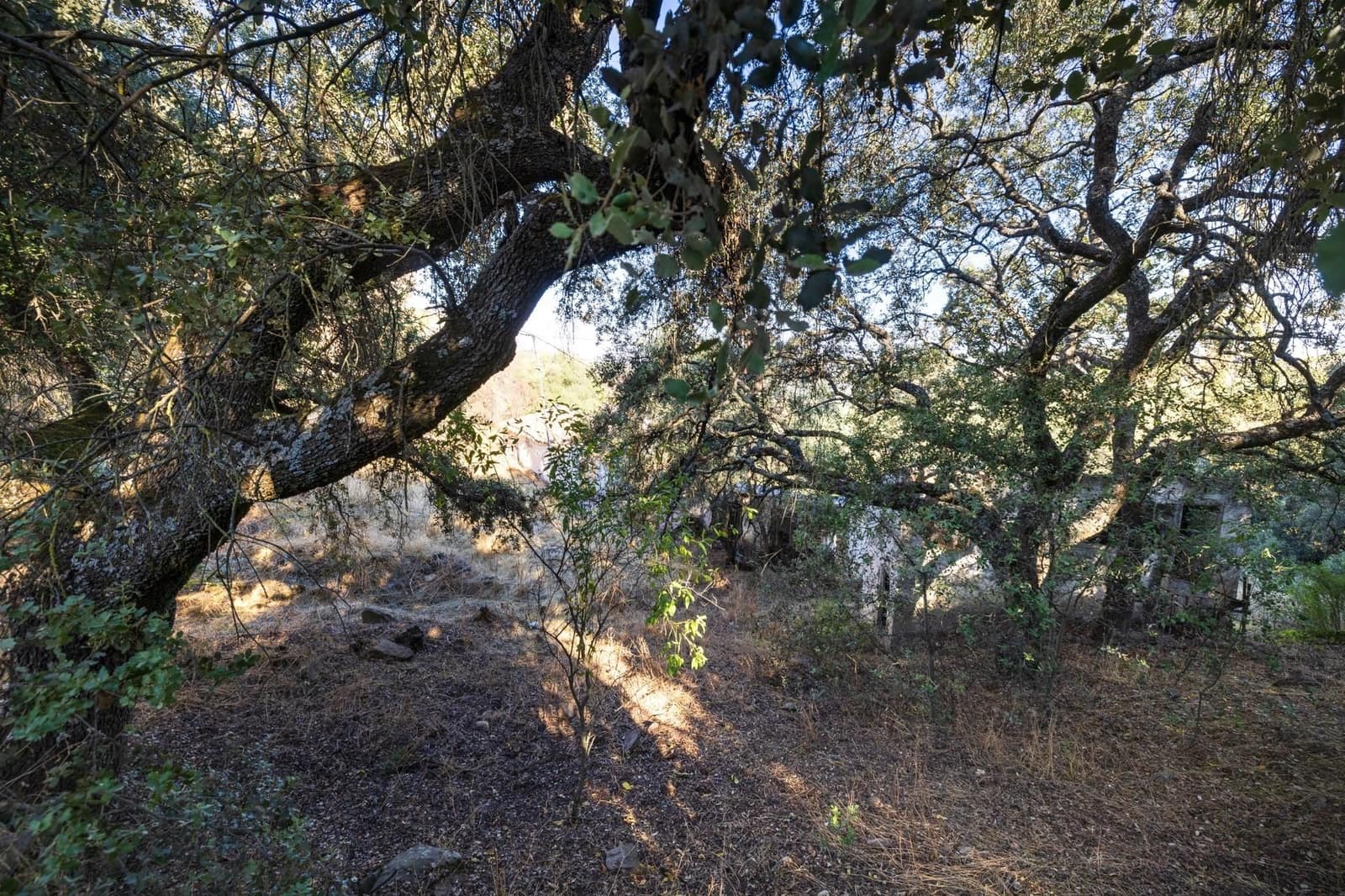 Ruína para venda em Montefrio - 65 000 € (Ref: 9534260)