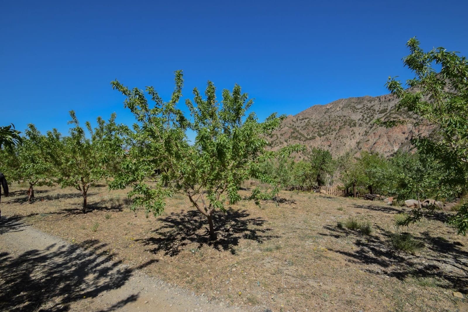 2 camera da letto Finca/Casa di Campagna in vendita in Niguelas con garage - 280.000 € (Rif: 9534271)