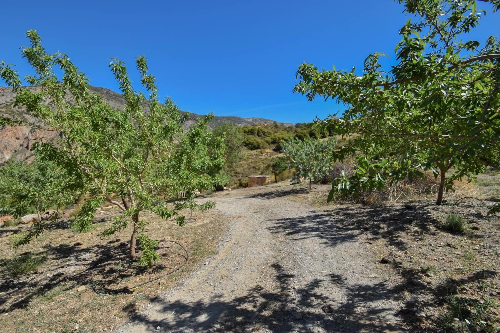 2 camera da letto Finca/Casa di Campagna in vendita in Niguelas con garage - 280.000 € (Rif: 9534271)