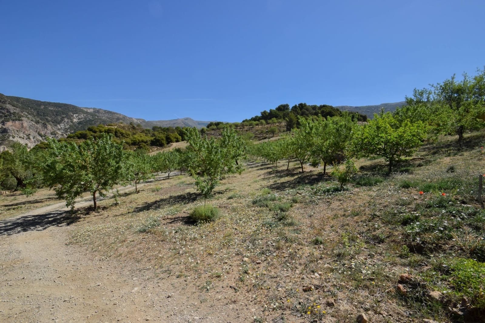 2 camera da letto Finca/Casa di Campagna in vendita in Niguelas con garage - 280.000 € (Rif: 9534271)