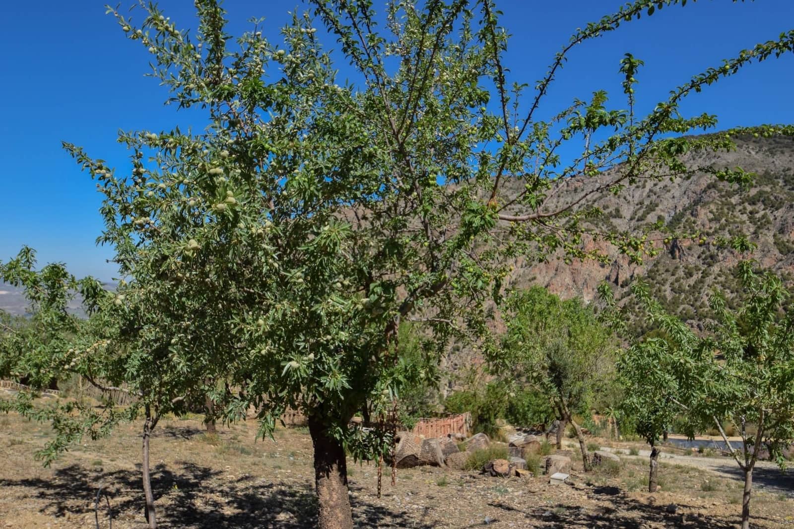 2 camera da letto Finca/Casa di Campagna in vendita in Niguelas con garage - 280.000 € (Rif: 9534271)