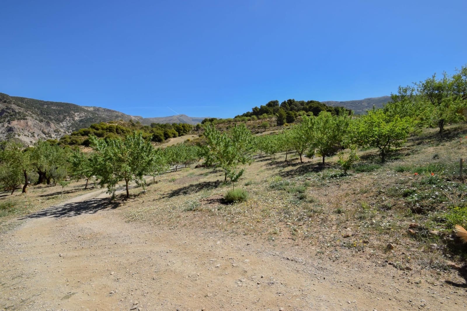 2 camera da letto Finca/Casa di Campagna in vendita in Niguelas con garage - 280.000 € (Rif: 9534271)