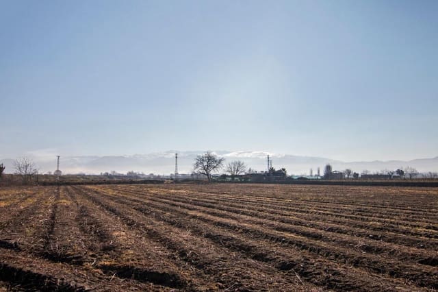 Finca/Casa Rural en Pedanias de Granada, Granada ciudad en venta - 56.000 € (Ref: 9534281)