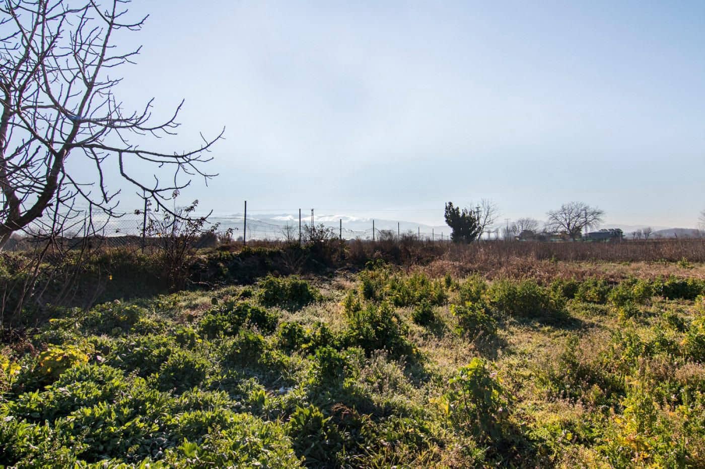 Finca/Casa Rural en Granada ciudad en venta - 56.000 € (Ref: 9534281)