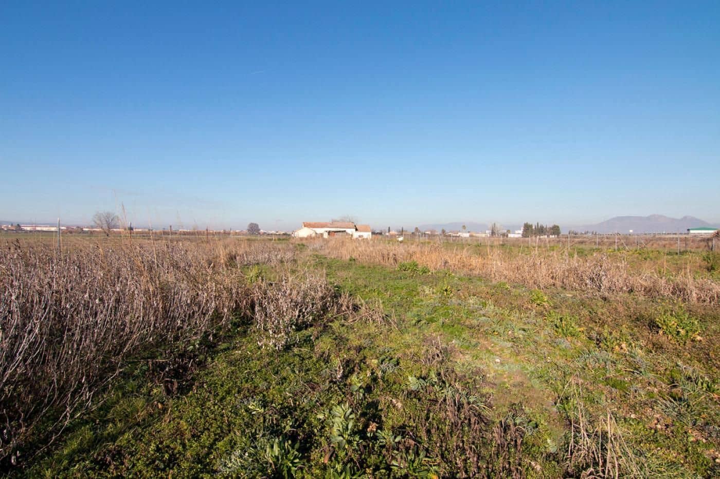 Finca/Casa Rural en Granada ciudad en venta - 56.000 € (Ref: 9534281)